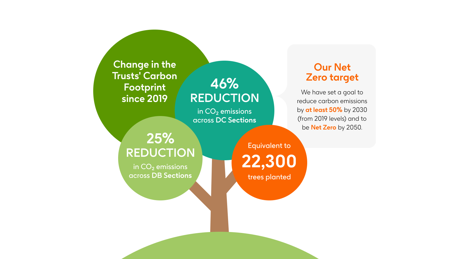 our net zero target